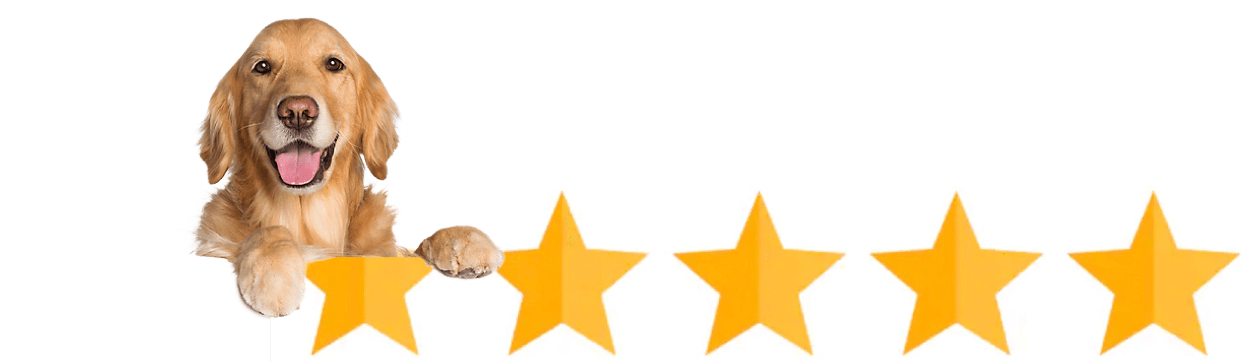 100% Satisfaction of TheraPetic Service