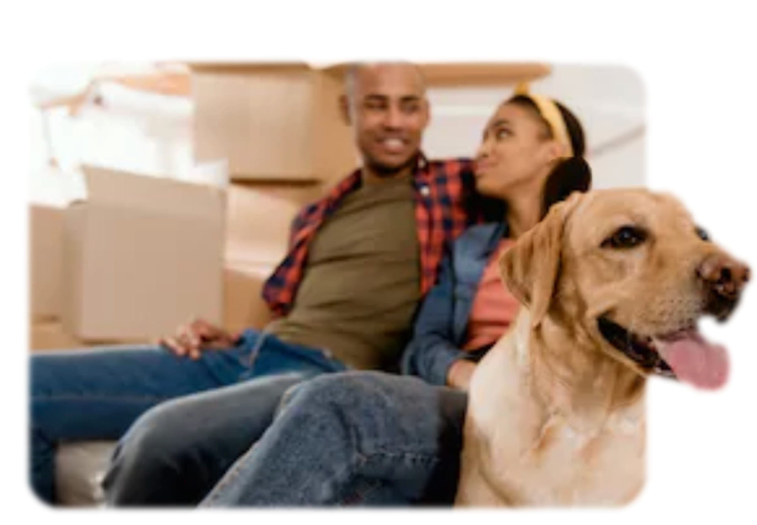 Infographic about housing accommodations for emotional support animals and assistance animals.