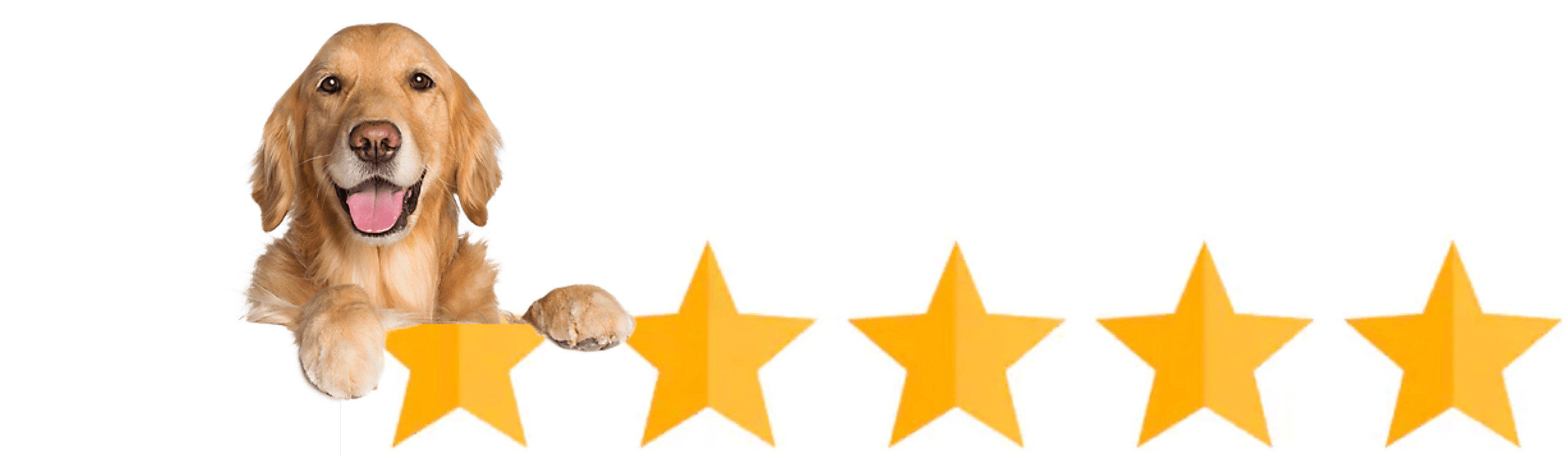 Five star ratings for TheraPetic services