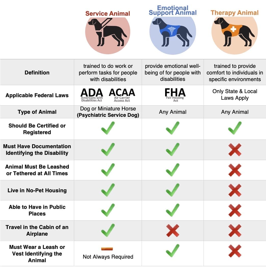 Chart comparing service animals, emotional support animals, and therapy animals