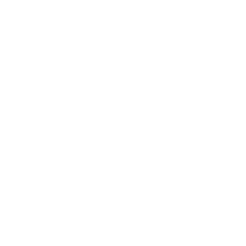 Happiness icon