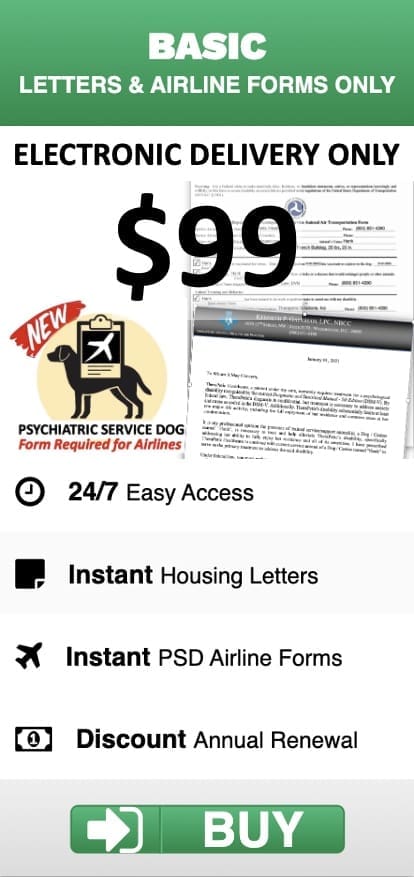 Letter Package Pricing