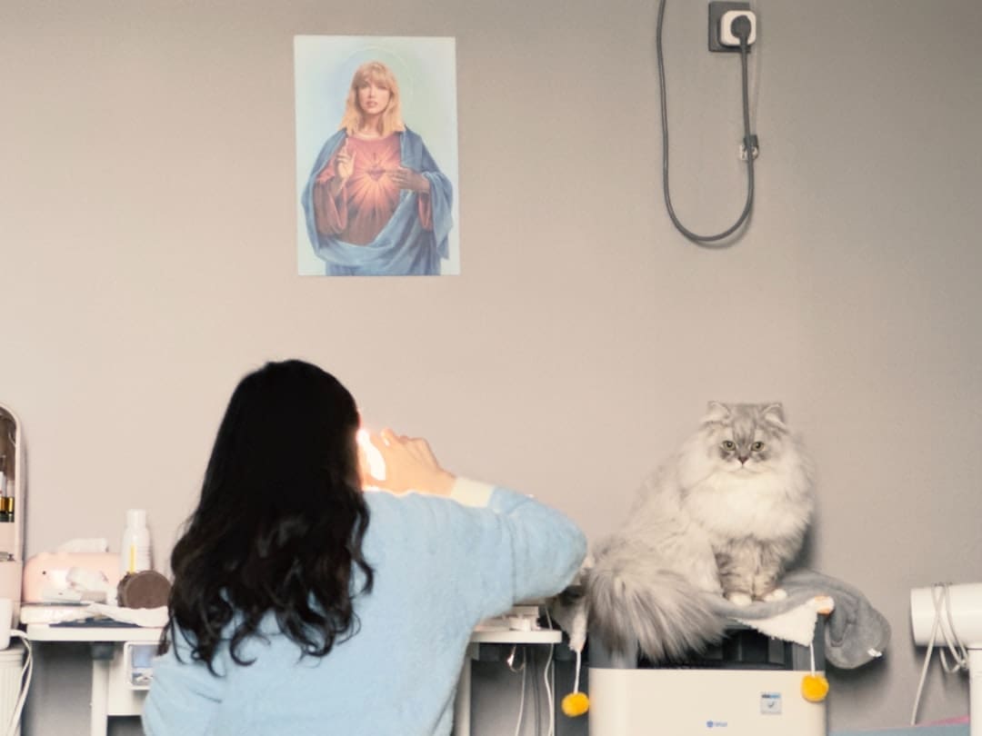mental enrichment. A woman taking a picture of a cat in a room