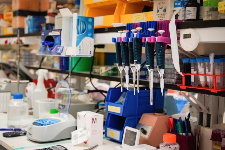 oxytocin brain chemistry — 5 Ways Looking at Your Dog Changes Your Brain Chemistry (Science-Backed)