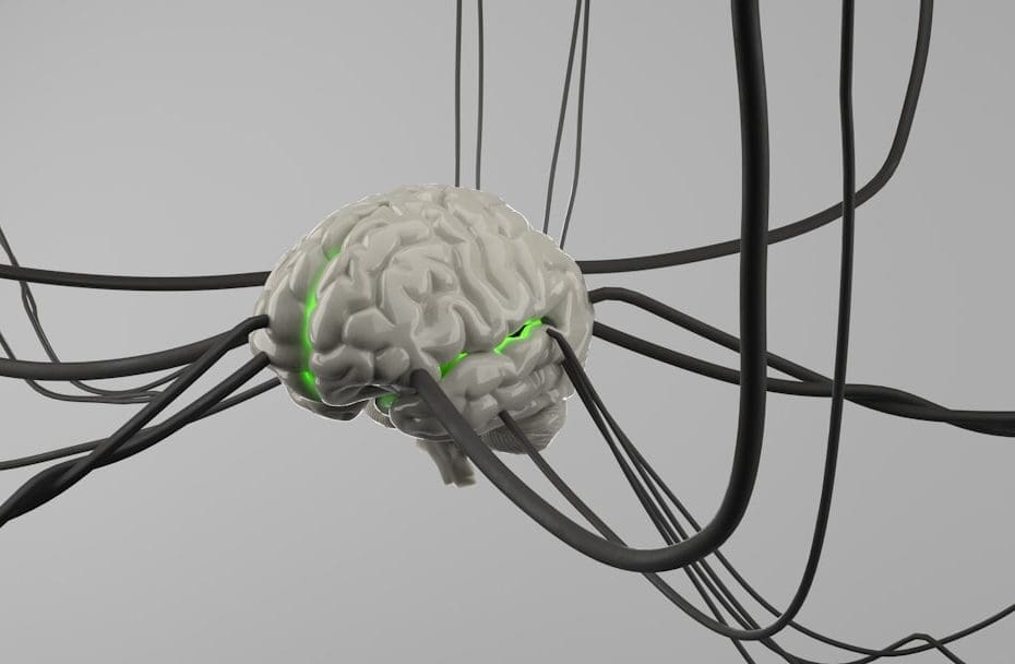 pets lower blood pressure — 7 Ways Pets Lower Blood Pressure: Proven Cardiovascular Benefits of Animal Companionship