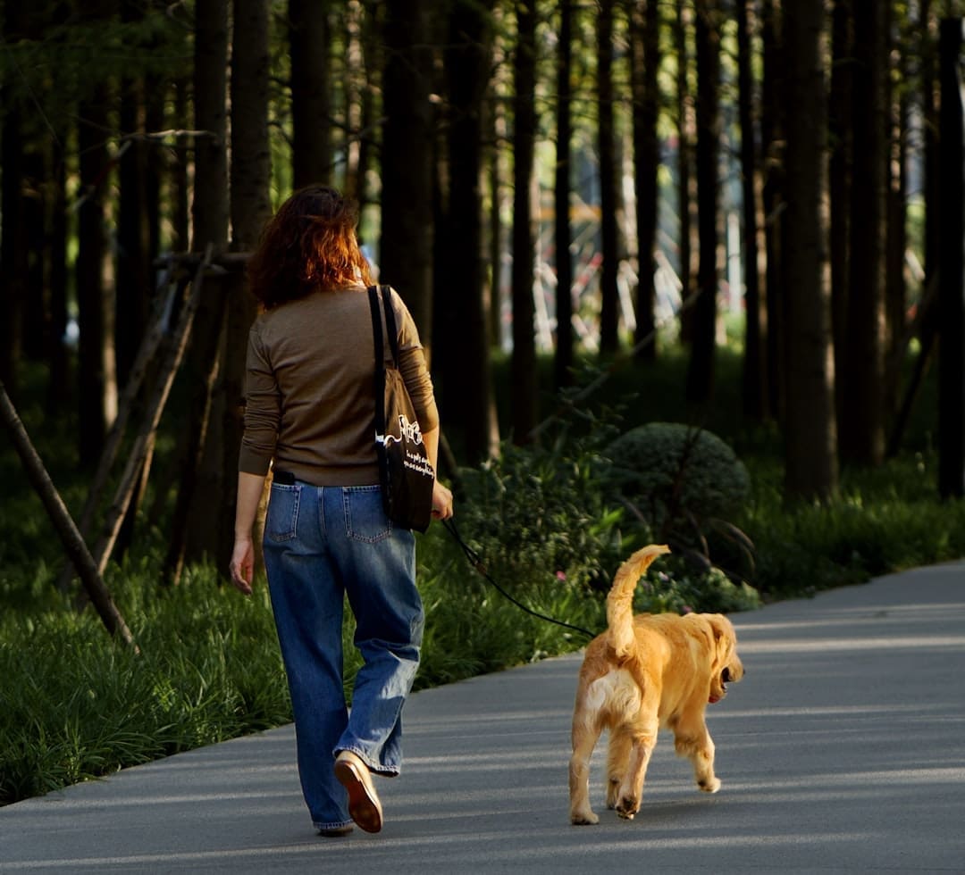 pet stress signals — Woman walks dog on path through trees