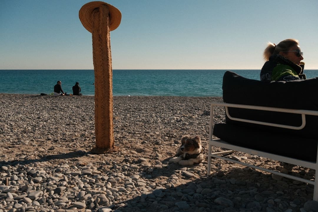 PTSD service dog — A woman and dog relax on a sunny pebble beach.